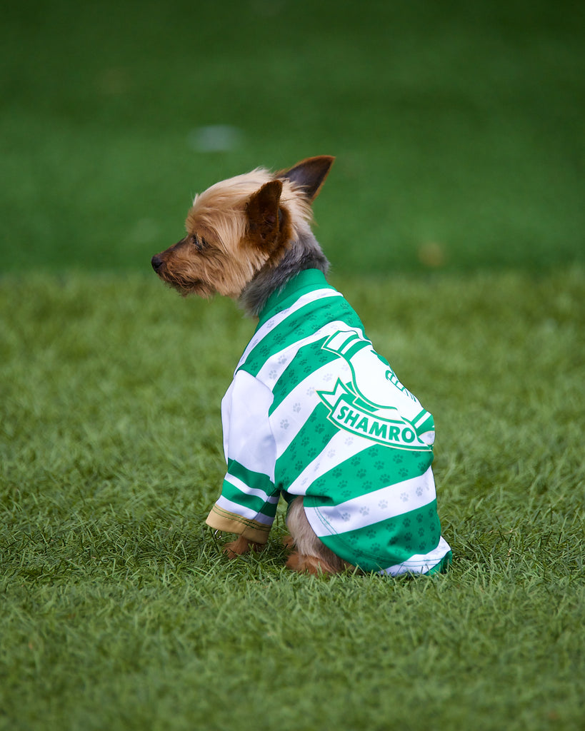 Dog Jerseys